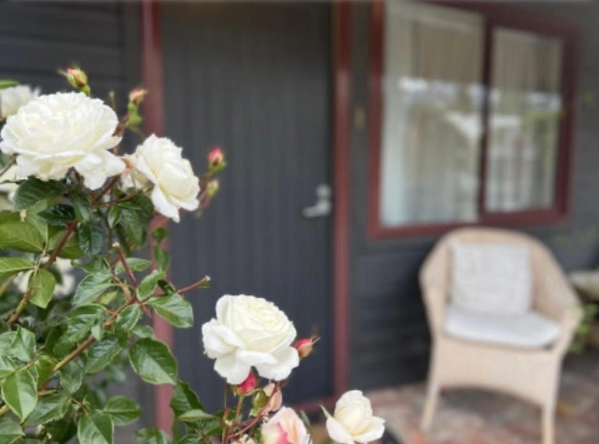 #2 Glenorchy Alpine Suite Exterior photo